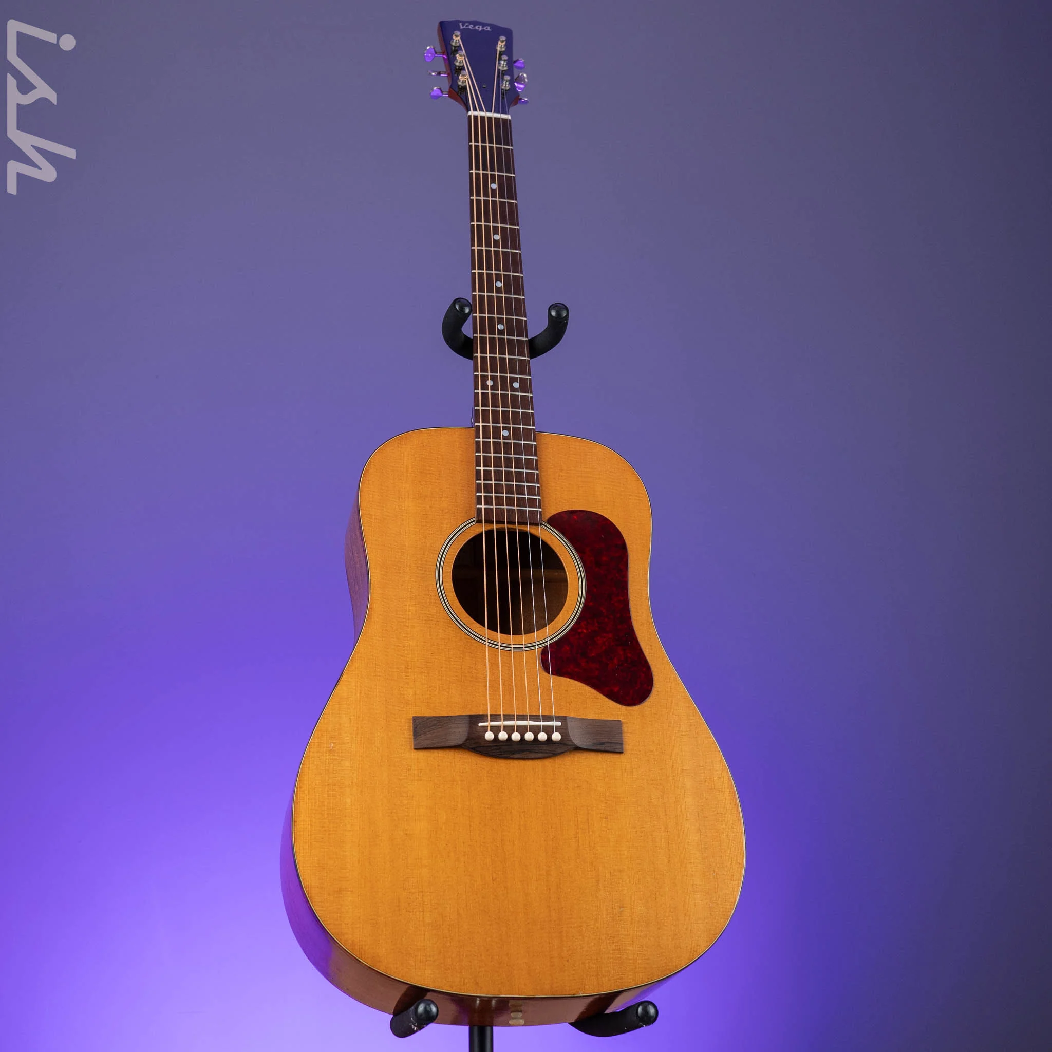 1966-1969 Vega A-25 Acoustic Guitar - Image 2