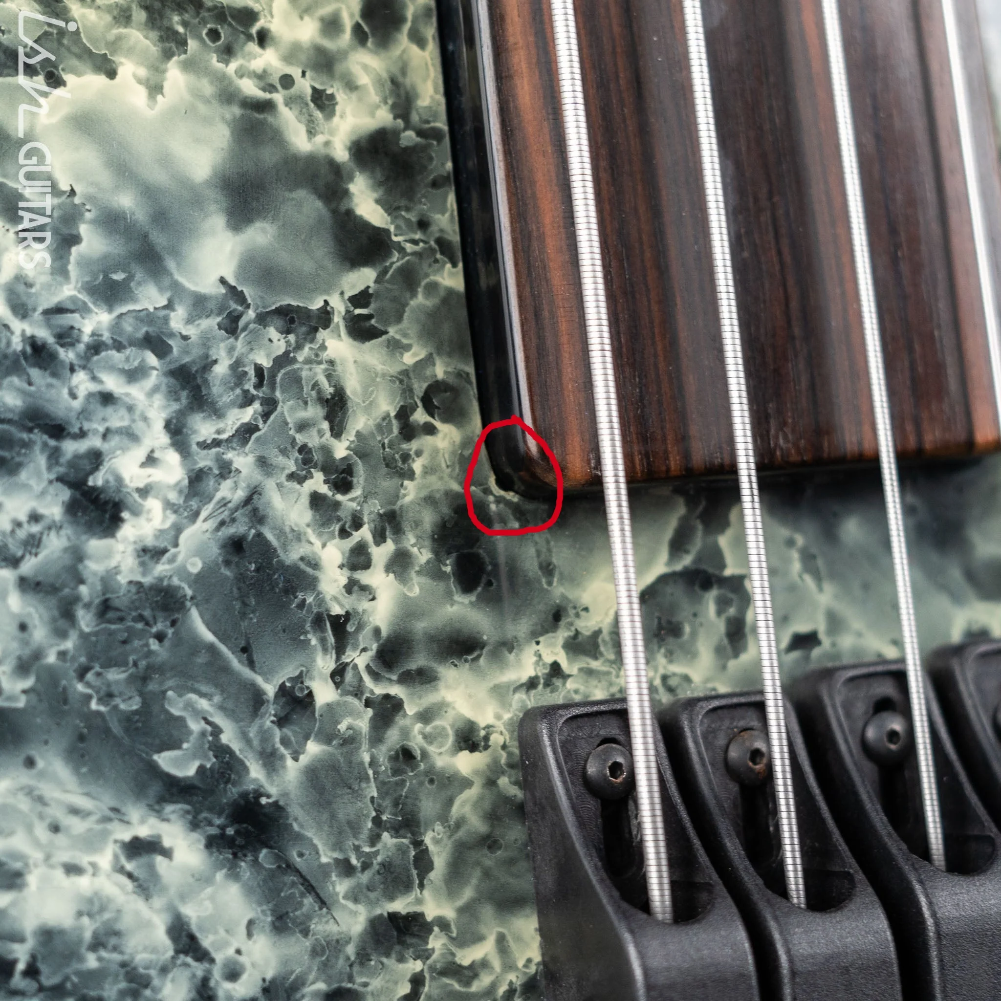 2002 Ritter Raptor Fretless 4-String Bass Marble - Image 7