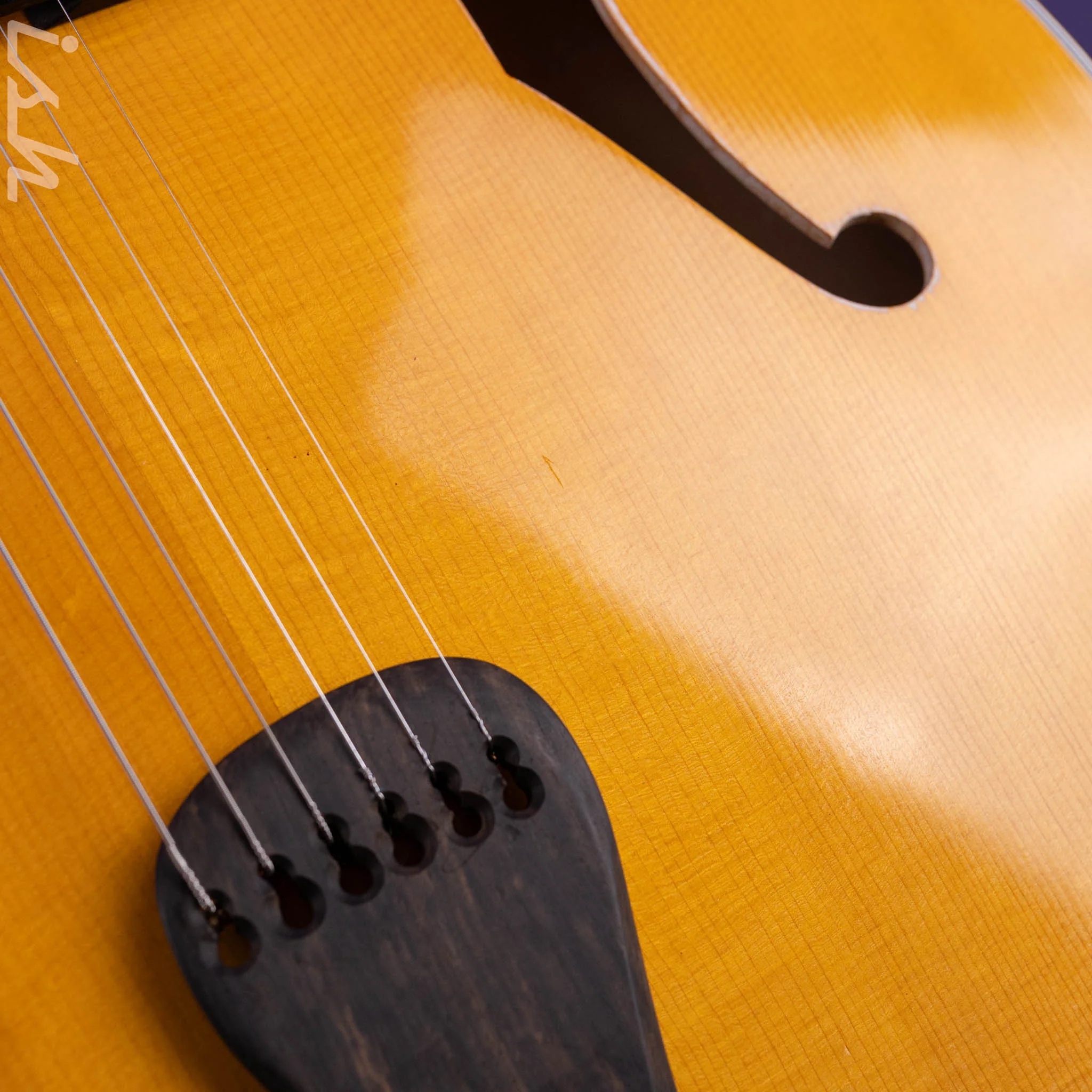 2010 Insalaco Archtop Amber - Image 10