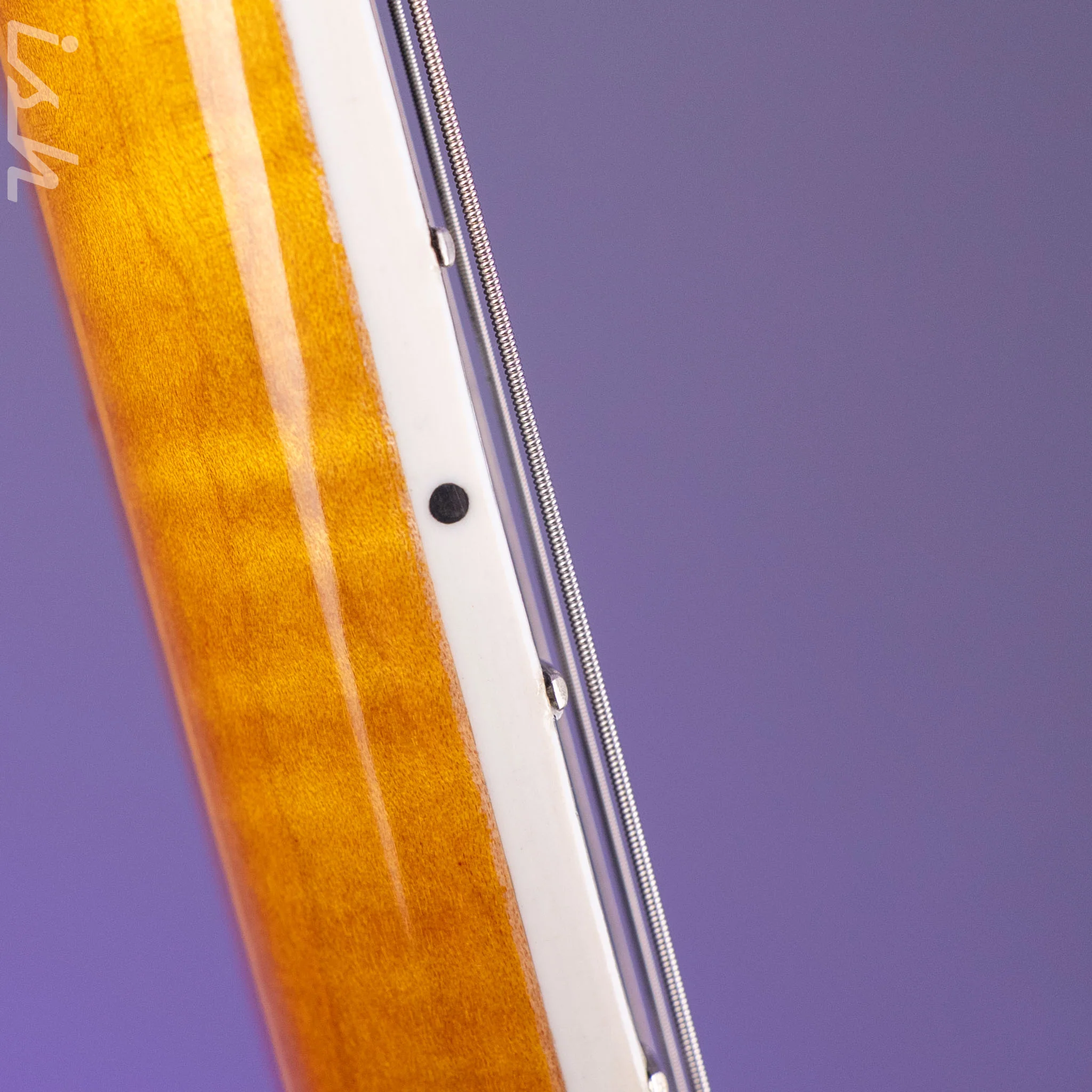 2010 Insalaco Archtop Amber - Image 24