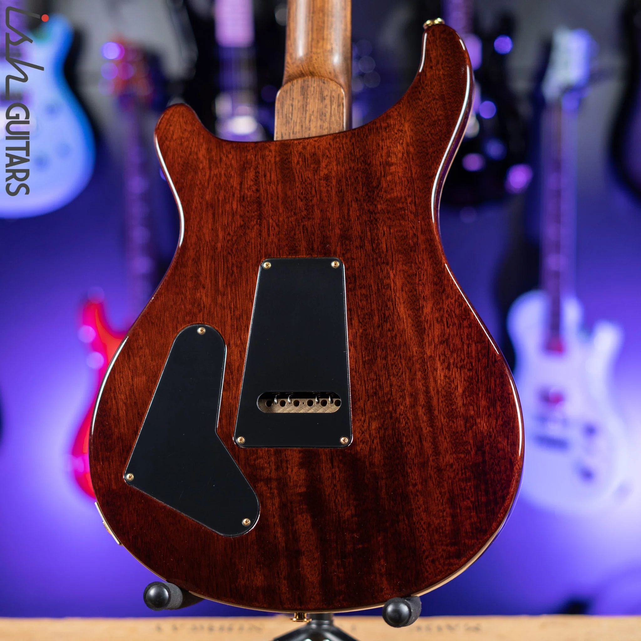 PRS Custom 22 Private Stock Tiger Eye Smoked Burst Birds On A Wire - Image 12