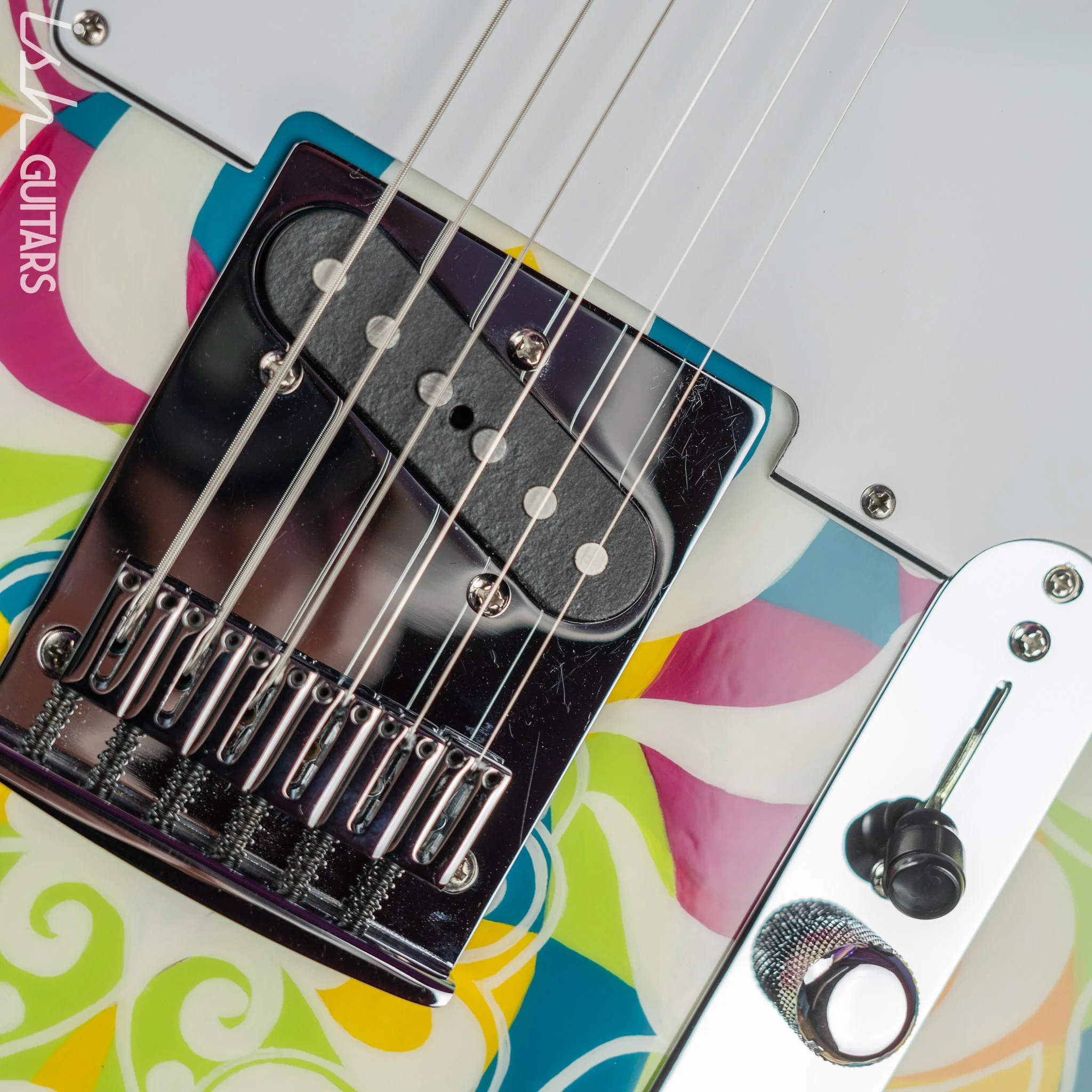 2017 Fender Masterbuilt Greg Fessler Custom Shop Primavera Telecaster Madison Roy Artwork - Image 12