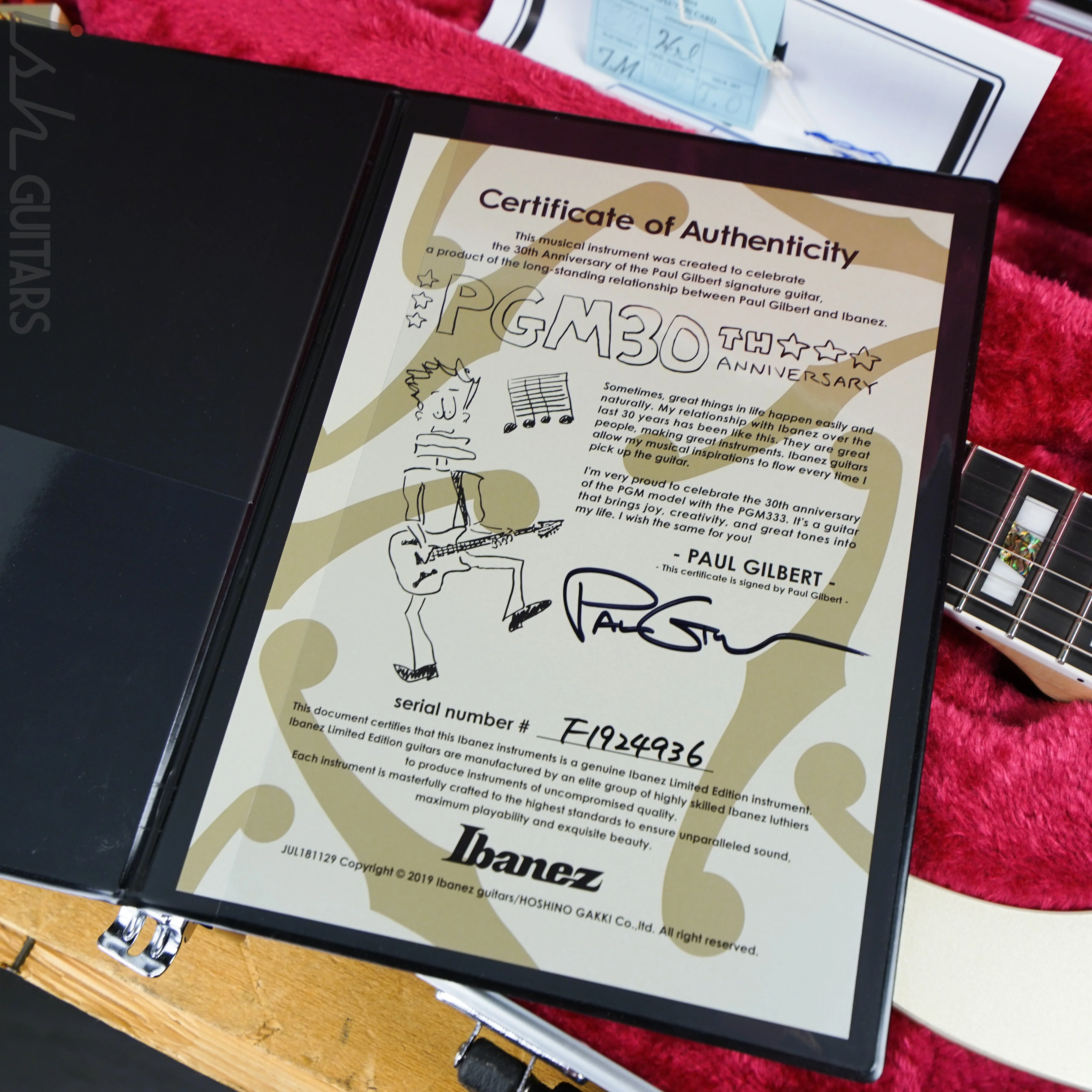 2020 Ibanez Paul Gilbert PGM333 Limited Edition 30th Anniversary Champagne Gold - Image 14