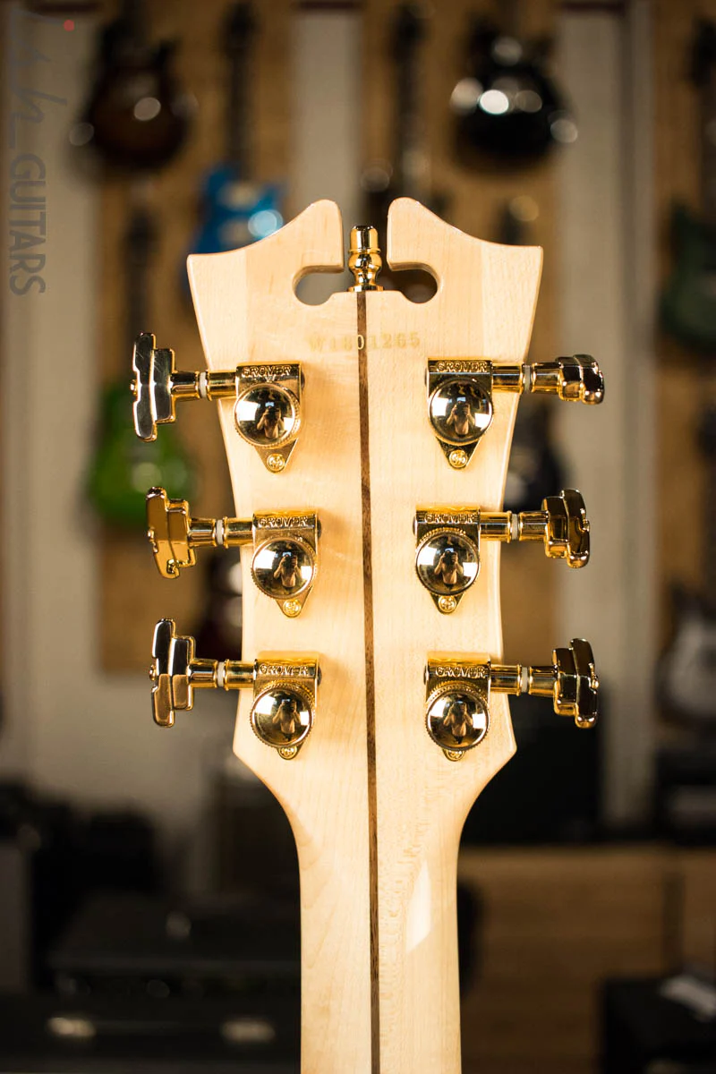 D’Angelico Deluxe Bedford Chameleon Finish - Image 11
