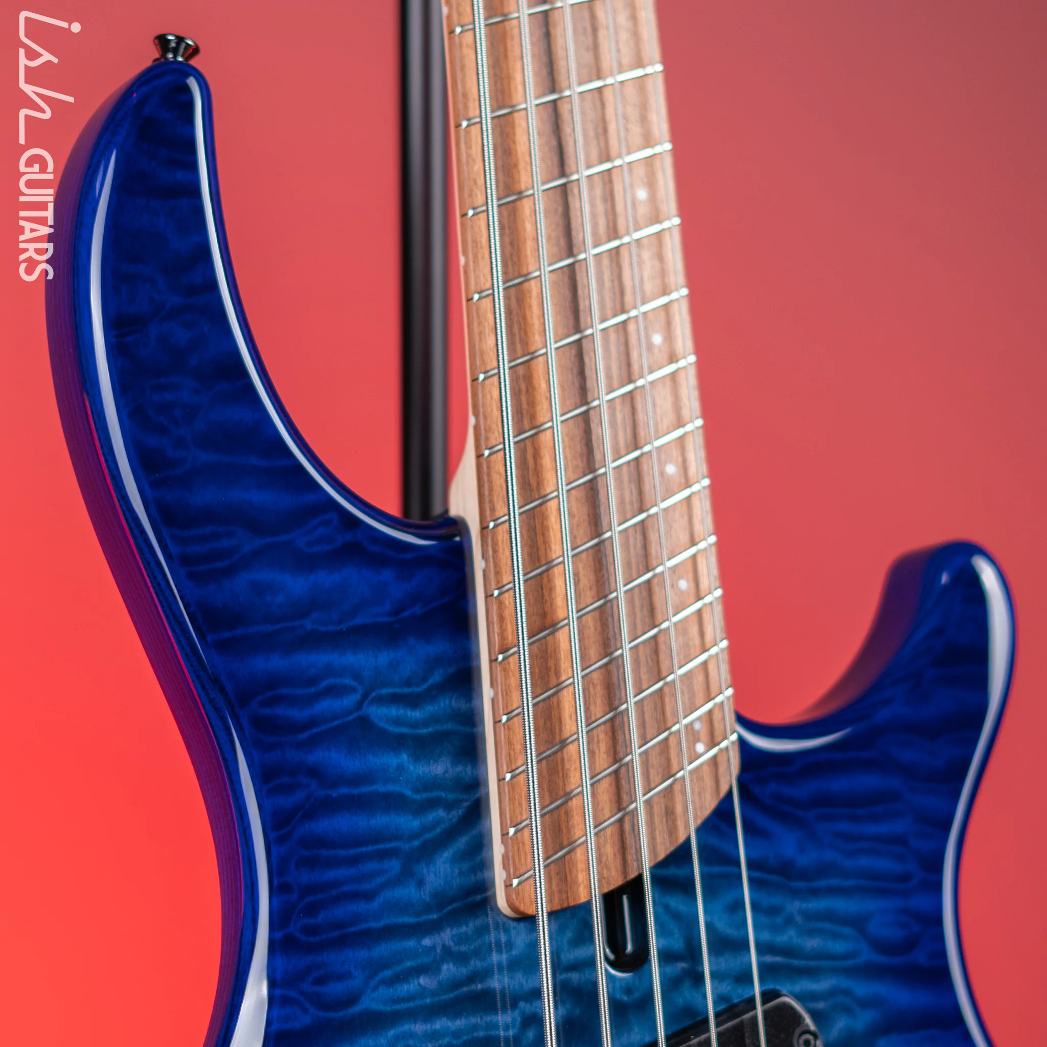 Dingwall Combustion 5-String Bass Indigoburst Pau Ferro Fretboard - Image 3