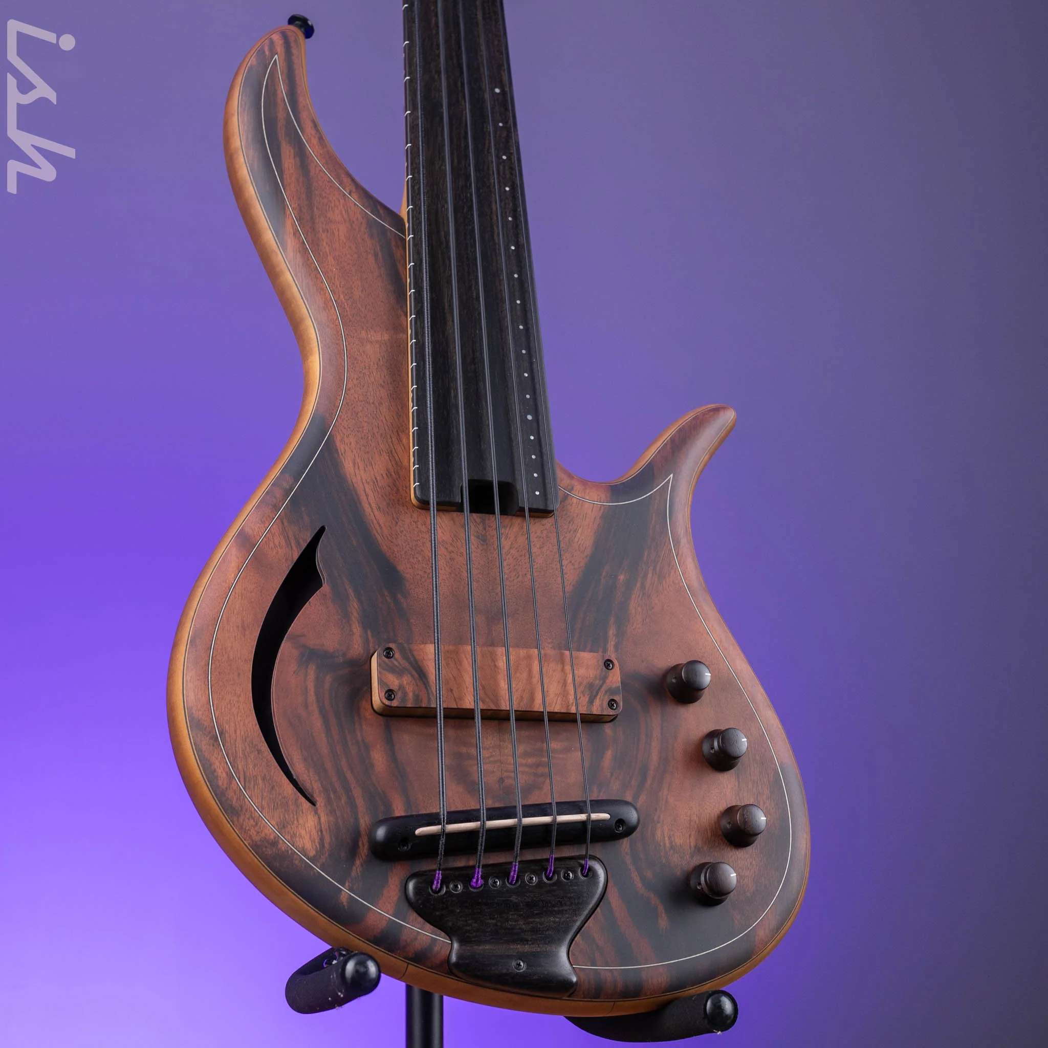 F Bass AC5-Classic Fretless Amara Ebony Top