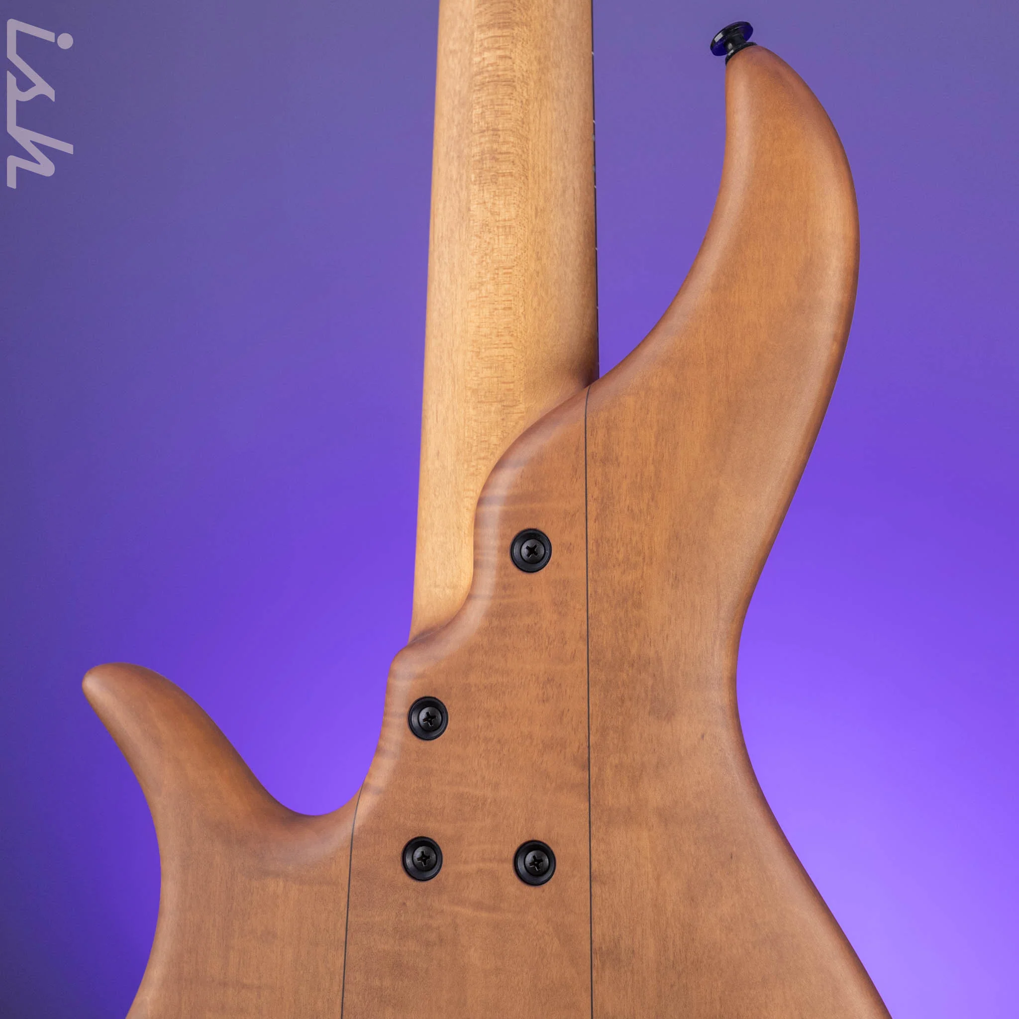 F Bass AC5-Classic Fretless Amara Ebony Top - Image 8