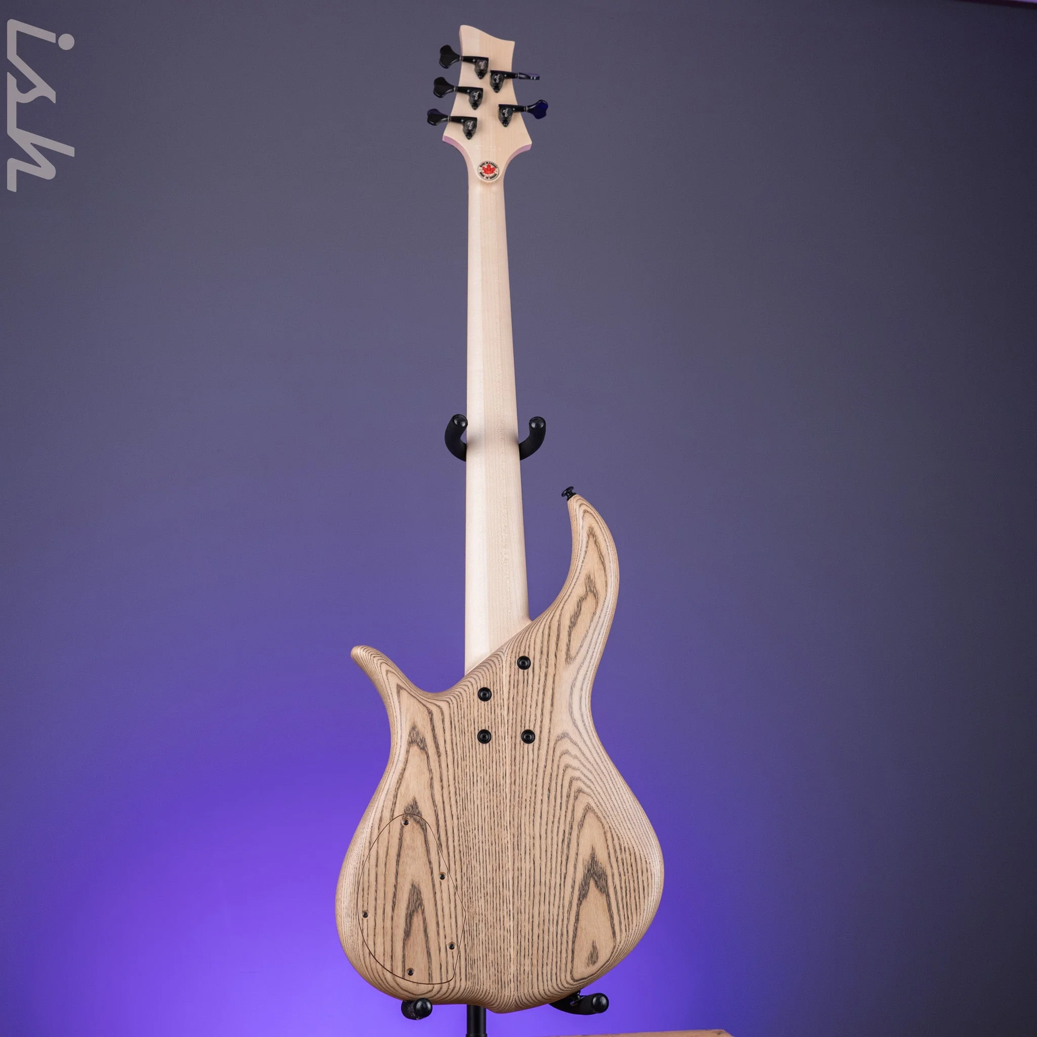 F Bass BN5 5-String Bass Pale Moon Ebony - Image 7