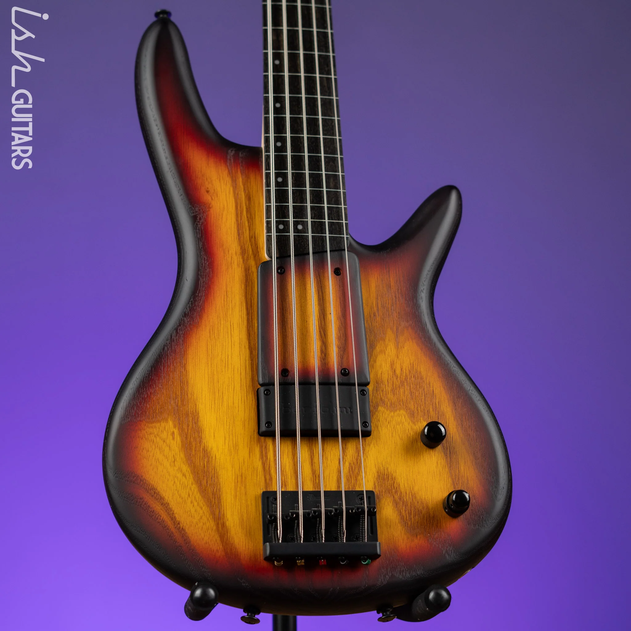 Ibanez GWB205 Gary Willis Signature 5-String Fretless Bass Tequila Sunrise Flat