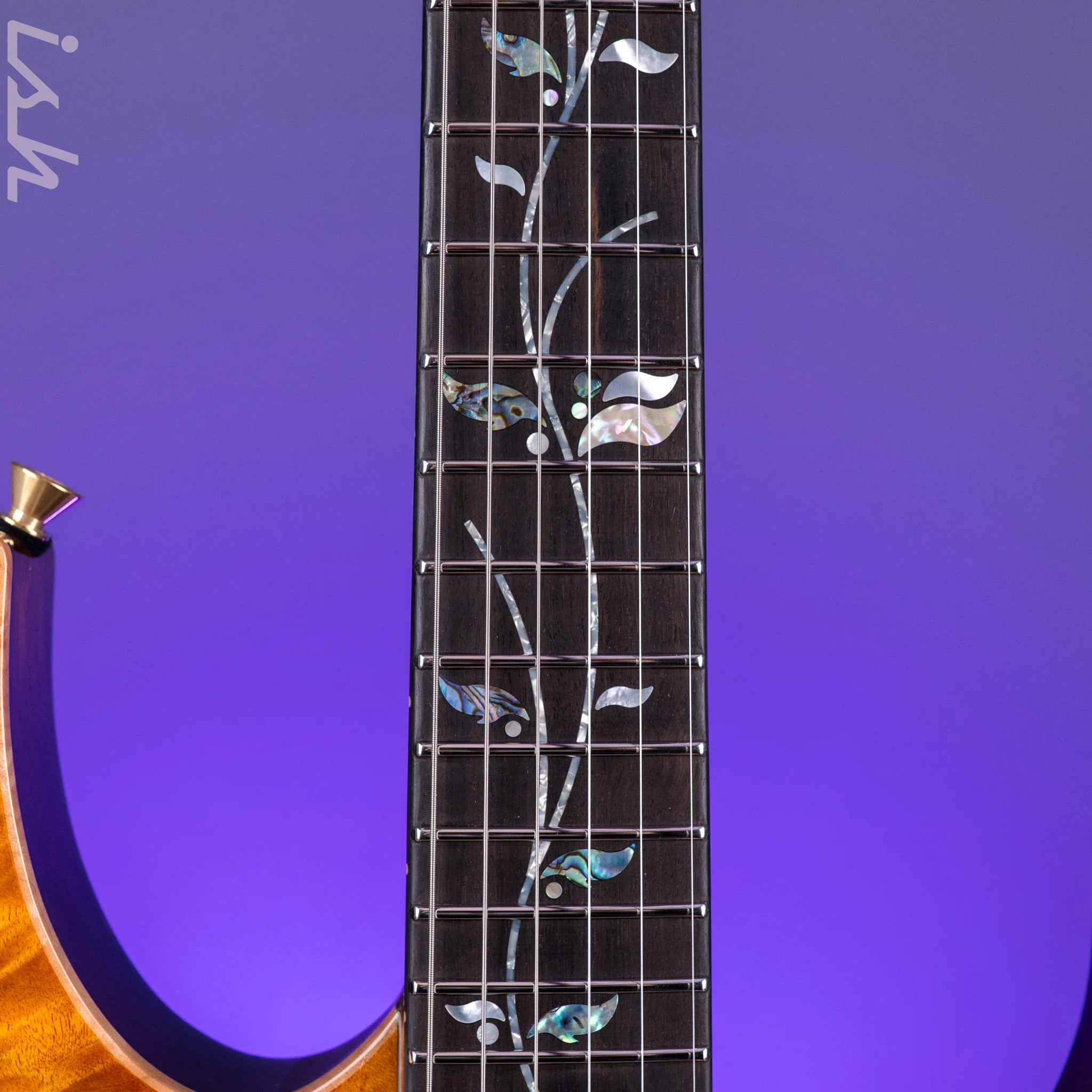 Ibanez Japan Custom Shop Visions IV1RG Electric Guitar - Image 6