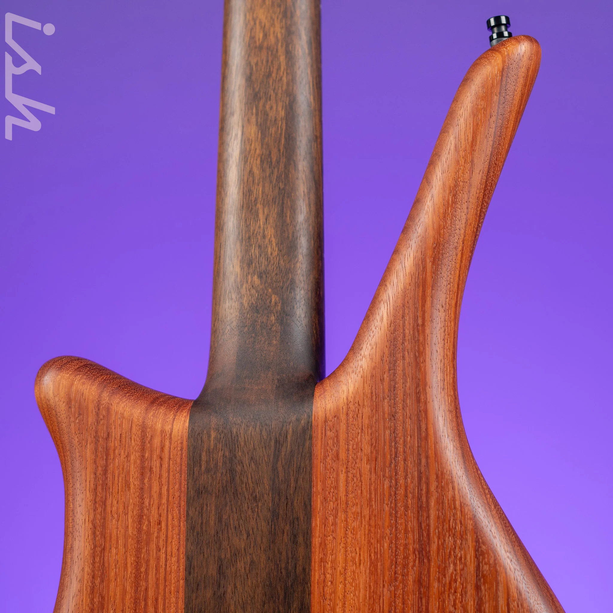 Ish x Warwick Dolphin SN TCS Custom Shop Endangered Species 4-String Bass Wenge Fretboard - Image 8