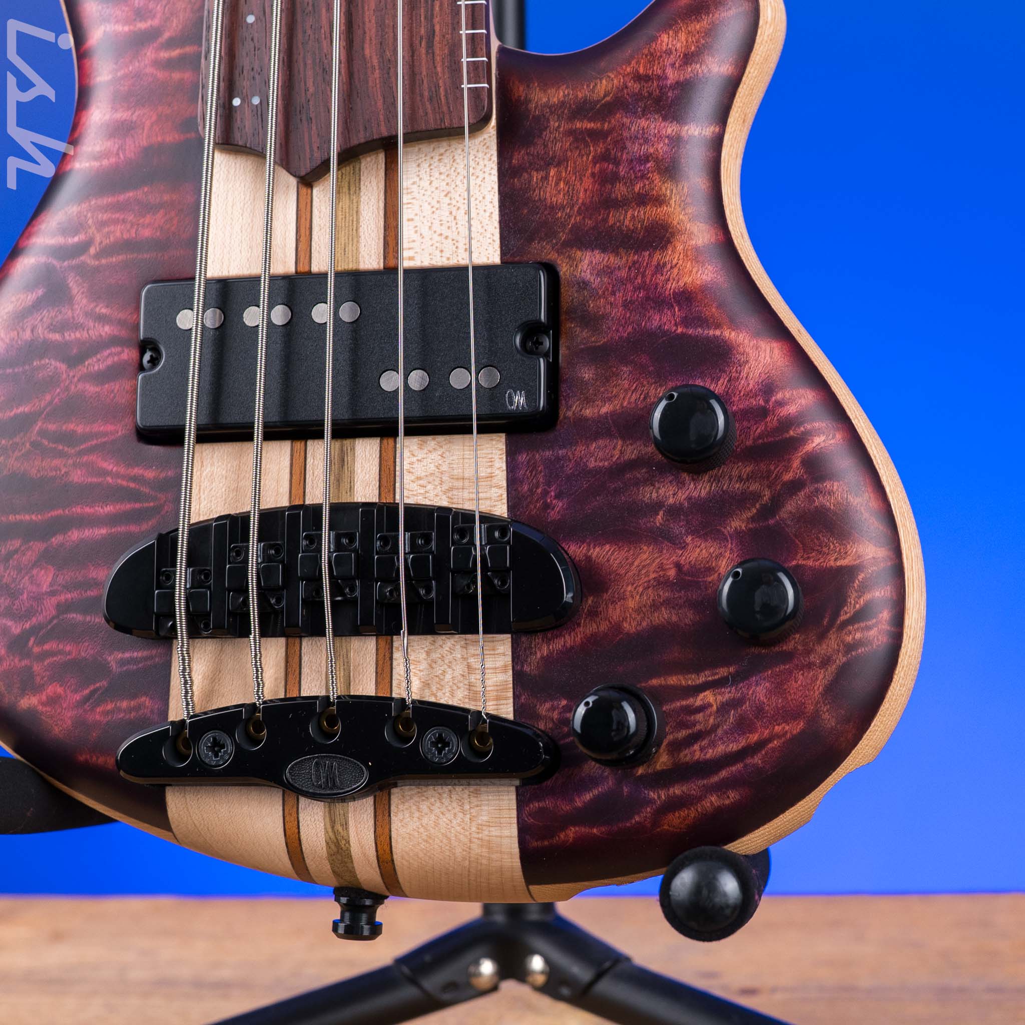 Mayones Cali 5 Fretless Mini Bass Flamed Maple - Image 5