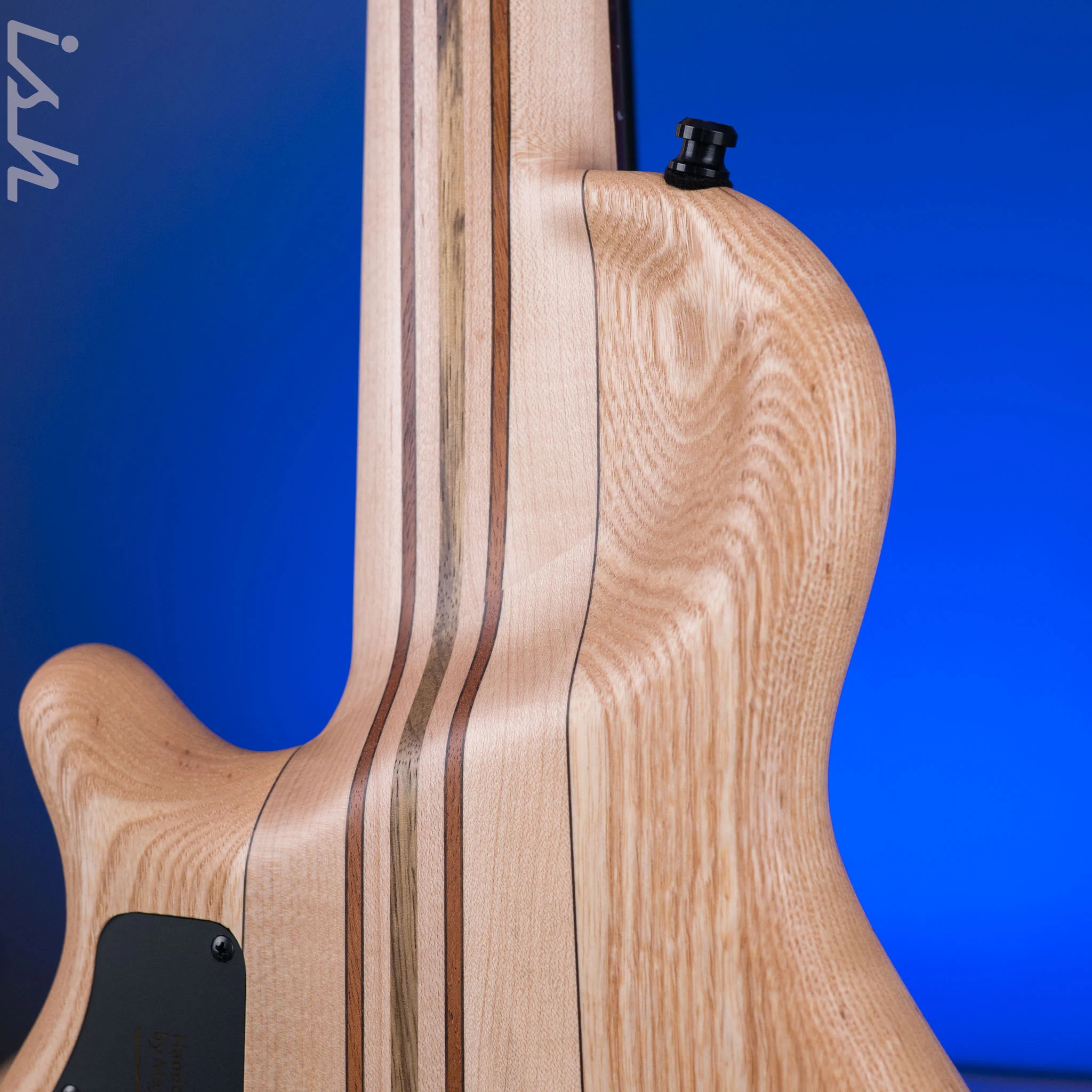 Mayones Cali 5 Fretless Mini Bass Flamed Maple - Image 9