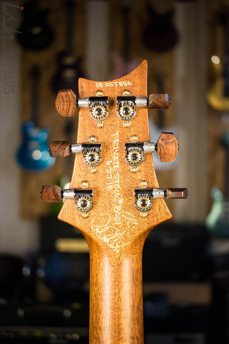 2018 Paul Reed Smith PRS Private Stock Custom 24 Multi Scale "Spirit" Double Semi-Hollow (DEMO VIDEO) - Image 6