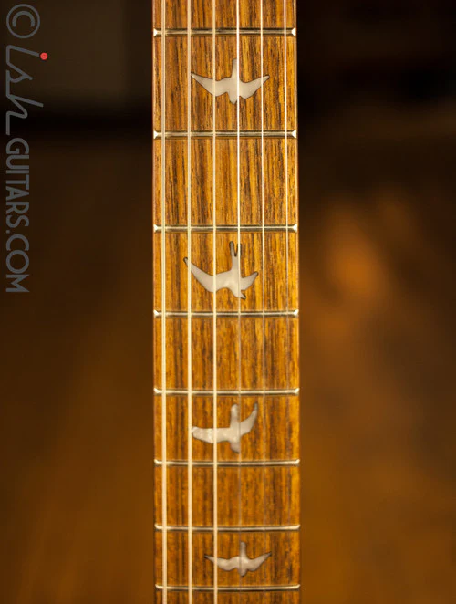 Paul Reed Smith SE Custom 24 Floyd Custom Inlays - Image 6