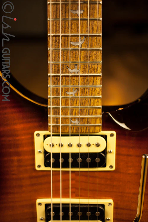 Paul Reed Smith SE Custom 24 Floyd Custom Inlays - Image 7