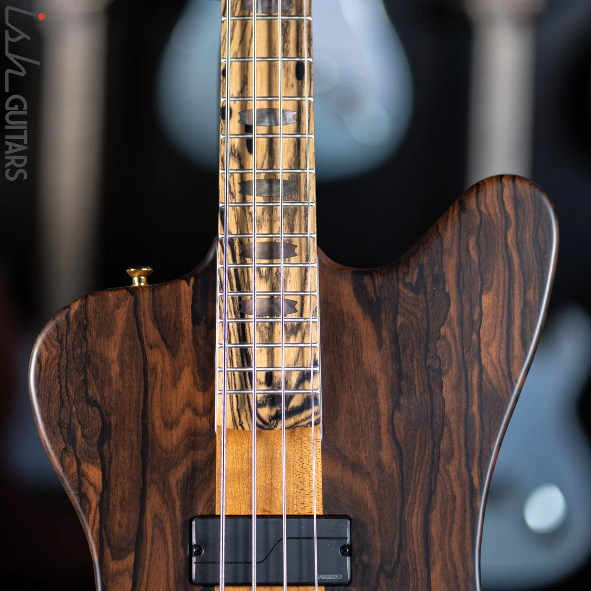Spector Custom NS-2X Ziricote - Image 4