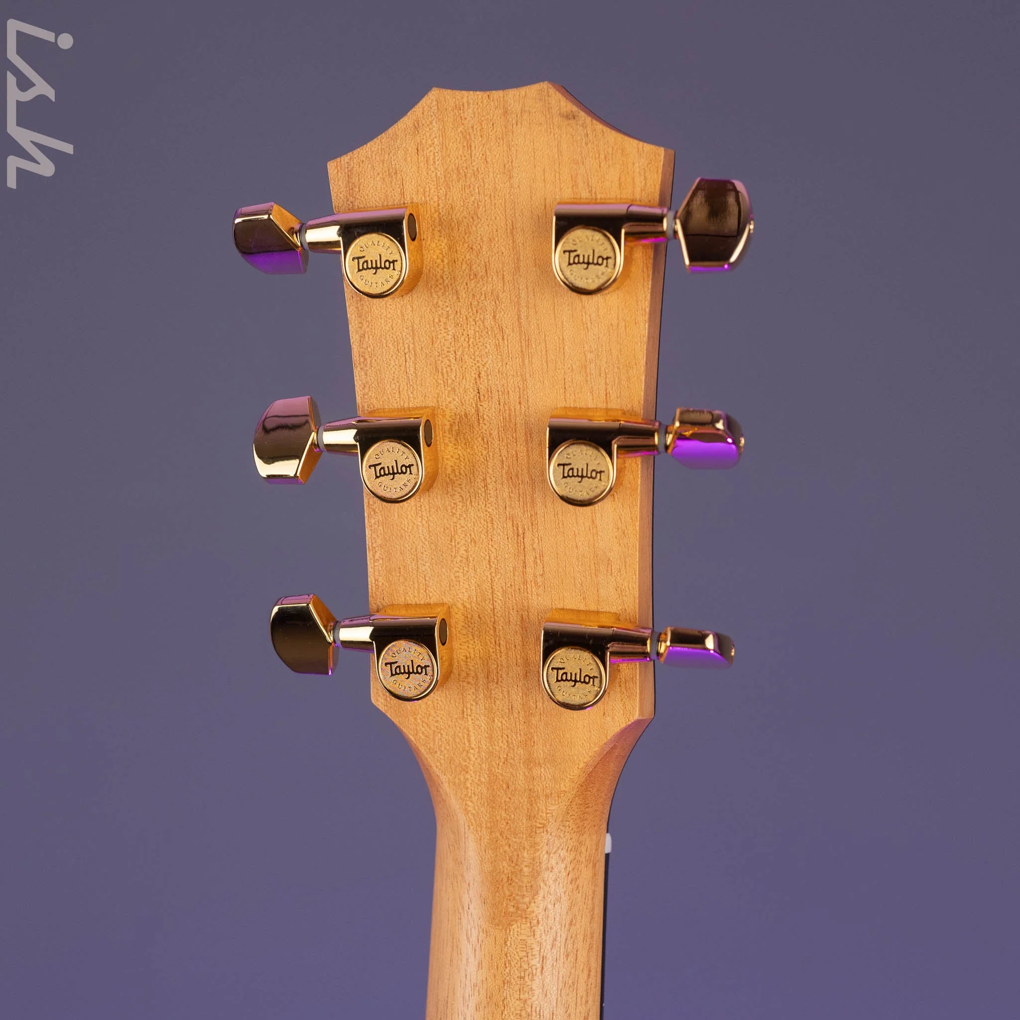Taylor 50th Anniversary 217e-SB Plus LTD Tobacco Sunburst - Image 11