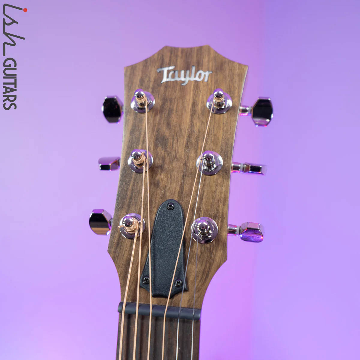 Taylor GTe Urban Ash/Spruce - Image 8