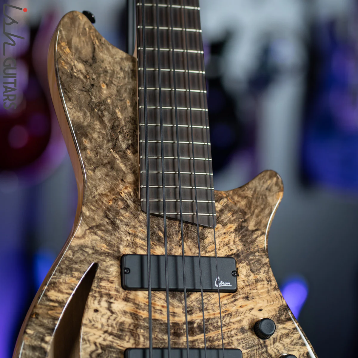 Veillette Singlecut 5 Custom Semi Hollow Buckeye Burl - Image 5